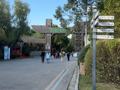 -溱湖国家湿地公园