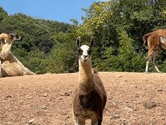 -杭州野生动物世界