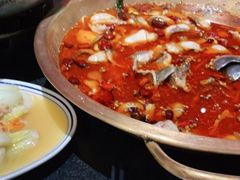 -蜀都丰 川菜·水煮活鱼(万象九宜城店)