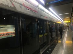 -大龙山(地铁站)