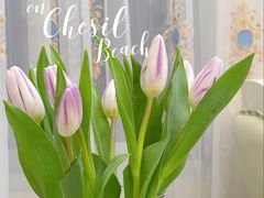 -循礼门鲜花花市(武汉循礼门店)