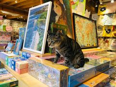 -猫的天空之城概念书店(丽江古城饮玉巷店)