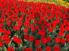 -玄武湖景区-情侣园游乐场