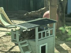 -青藏高原野生动物园