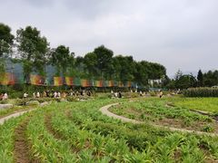 -太阳湾风景区