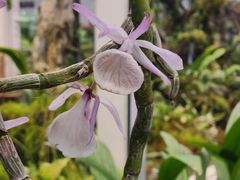 -国家植物园南园