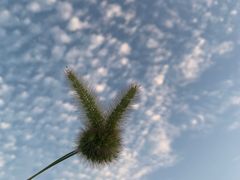 -大连普湾体育场