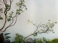 -驻海渔市(置信店)