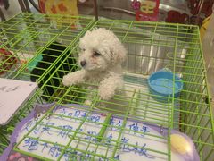 -丽达购物中心(崂山店)
