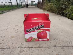 -小鱼草莓采摘园农家乐·小鱼餐厅