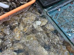 -考记泥焗鸡农庄·海鲜(北洛秘境店)