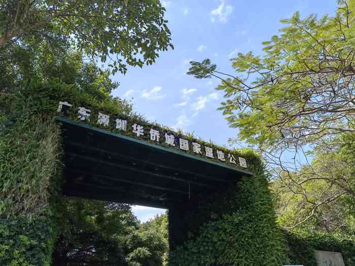 华侨城湿地公园-"华侨城湿地公园位於深圳市华侨城欢乐海岸,.