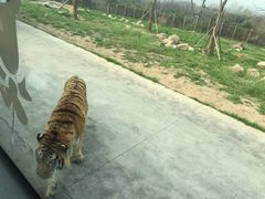 -西安秦岭野生动物园