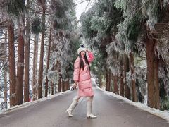 -武陵山森林公园
