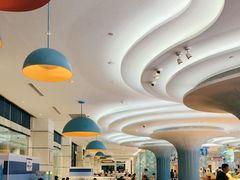 -帝企鹅自助餐厅•儿童岛•真企鹅(长隆企鹅酒店)