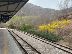 -黄金寨原生态旅游区