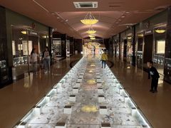 -青岛贝壳博物馆