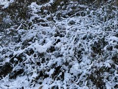 -镇江市南山风景名胜区竹林景区