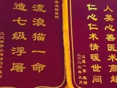 -乖乖宠物医院·猫科·急重症中心(车站北路分院)