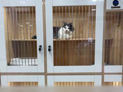 -爱洗澡的猫(天河路店)