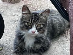 -北京西山国家森林公园