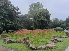 -扬州市茱萸湾风景区