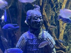 -华夏文旅海洋公园