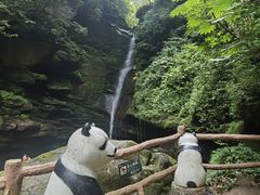 -碧峰峡风景区