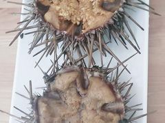 -海胆小馆(东北水饺·春柳店)