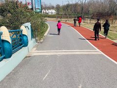 -上海长兴岛郊野公园