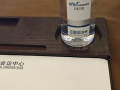 -国家会议中心大酒店