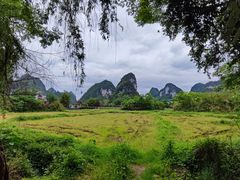 -靖西鹅泉风景区