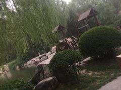 -唐城墙遗址公园