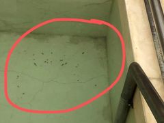 -青岛富力艾美酒店