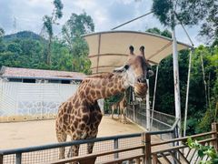 -泉州海丝野生动物世界