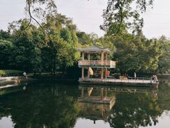 -晓港公园