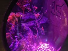 -沈阳海洋探索中心