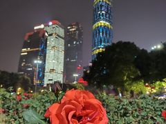 -广州塔