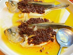 酥油豆豉蒸黄鱼-一坐一忘云南菜(三里屯店)