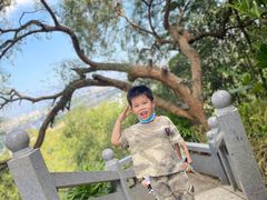 -神光山国家森林公园