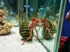 -太平洋海底世界