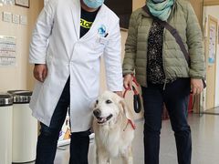 -喜多萌中农锦绣动物医院24H·猫科·牙科MRI·CT