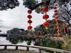 -无锡蠡湖国家湿地公园-蠡园