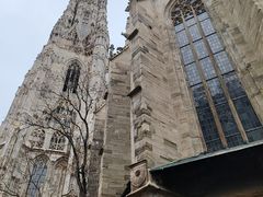 -斯蒂芬主教座堂(Stephansdom)