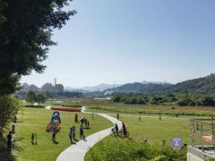 -风云岭森林公园