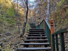 -苏木山森林公园