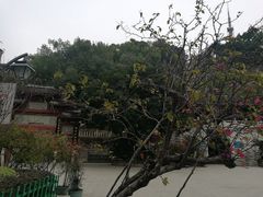 -乌山风景区