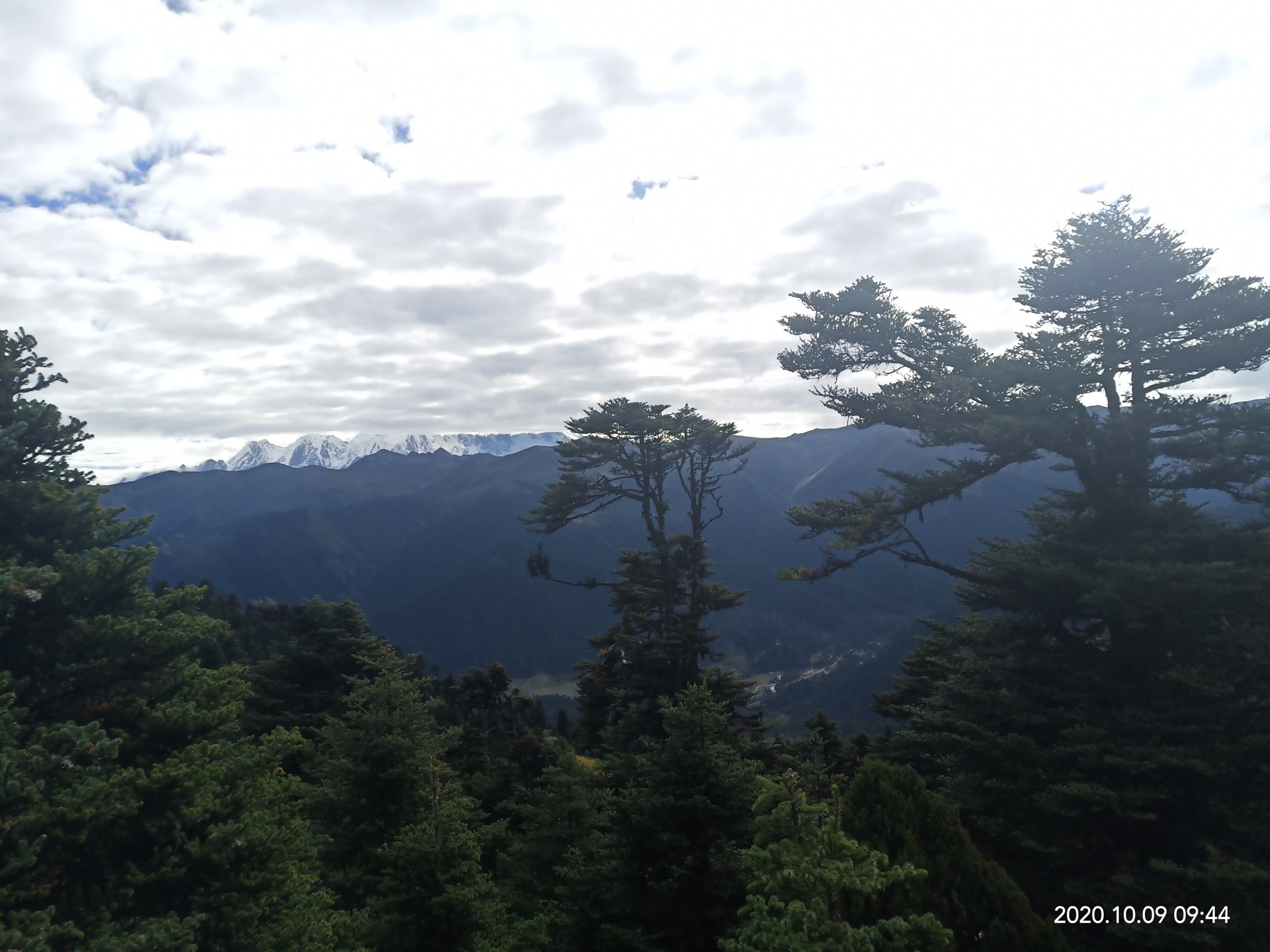 鲁朗林海,林芝游的一站,在观景台上眺望山