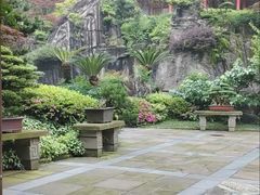 -南山植物园