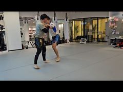 -EFL巴西柔术·综合格斗·泰拳·少儿体能训练(虹桥德必馆)